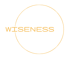 Wiseness Logo